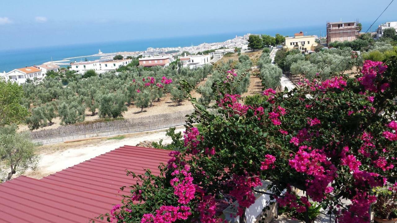 Villa Natura Sea View Vieste Exteriér fotografie